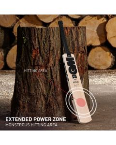 GM NOIR Contender Kashmir Willow Cricket Bat-Full , Light Weightï¾– 1180 to 1200 grams.